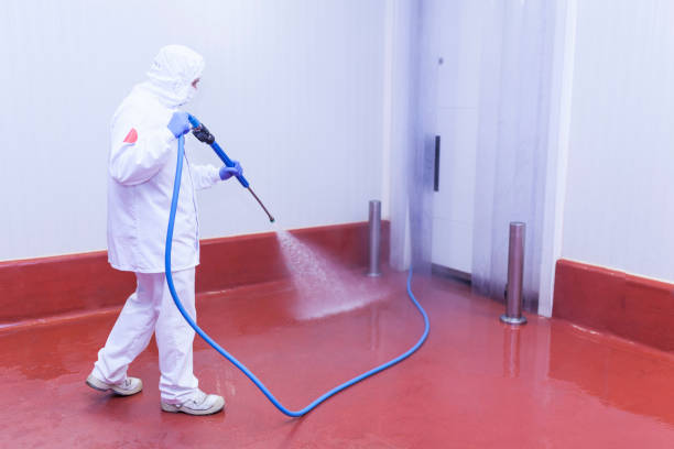 Best Graffiti Removal Services in Fern Park, FL